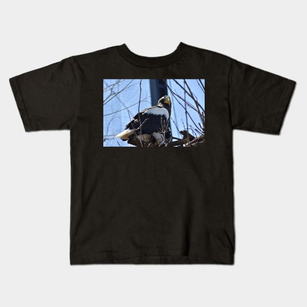 Stellar Sea Eagle Kids T-Shirt by MarieDarcy